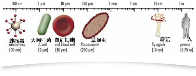 TIM截图20171116162245.jpg