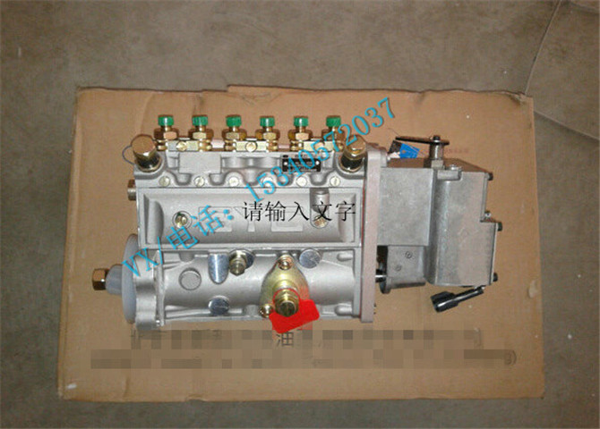 4983959电动燃油泵